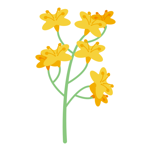 canola Icon